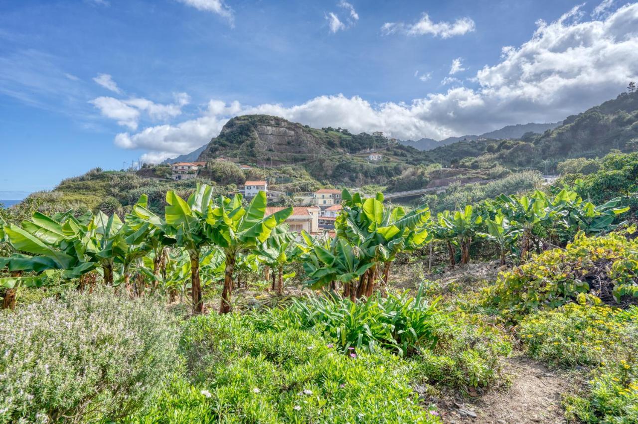 Quinta Da Vila Porto Da Cruz Eksteriør bilde