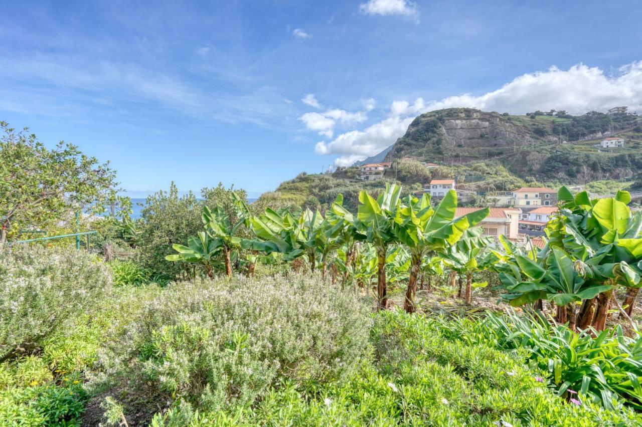 Quinta Da Vila Porto Da Cruz Eksteriør bilde